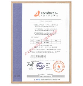 Ergonomics Certification